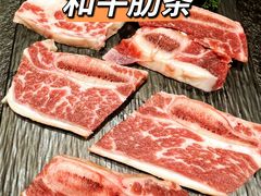 -赤铁扒拉锅·烤串·烤鸽子