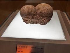 -信阳博物馆