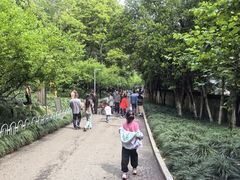 -赭山公园