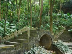 -广州市帽峰山景区