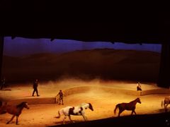 -cavalia·舞马