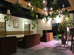 -柴务处·柴犬主题狗咖