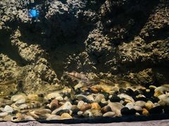 -中国湿地博物馆