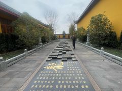 -上海青龙寺