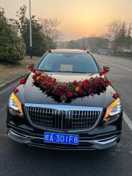 -蚂蚁婚车
