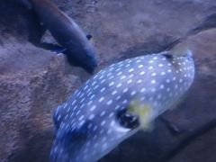 -多彩贵州城极地海洋世界