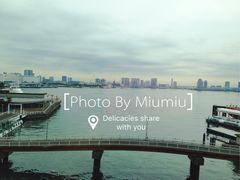 -台场海滨公园船码头