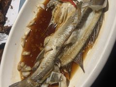 -锦上中式酒馆(南内环店)