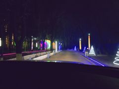 -枫花园汽车电影院(朝阳公园店)