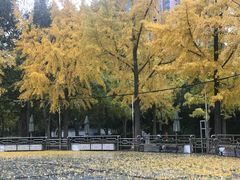 -北京康莱德酒店