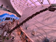 -陕西自然博物馆