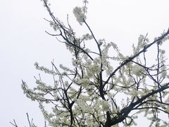 -铜锣山矿山公园
