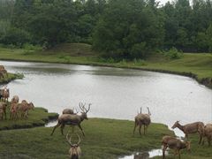 -溱湖国家湿地公园
