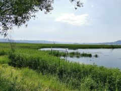 -野鸭湖国家湿地公园