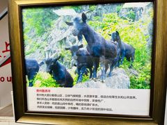-陈记贵州遵义羊肉粉·酸汤鱼(法华镇路店)