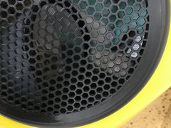 -伟伟宠物医院·瑞派猫友好医院·猫科(光谷店)