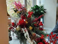 -蝶舍·MAISON PAPILLON