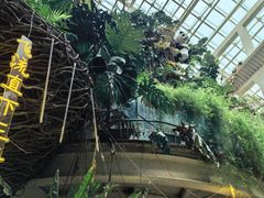 -正佳雨林生态植物园