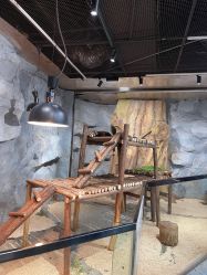 -Zoolung Zoolung动物主题公园(海信广场店)