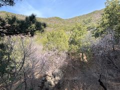 -北京十三陵国家森林公园蟒山景区