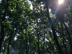 -帽儿山国家森林公园