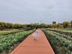 -广东花都香草世界旅游度假区