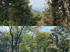 -梧桐山风景名胜区