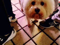 -嘉荟市场(北新泾店)