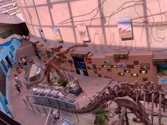 -陕西自然博物馆