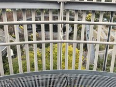 -福道