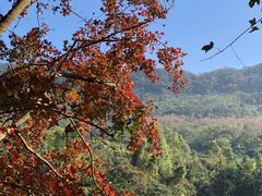 -广州市石门国家森林公园