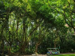 -深圳国际园林花卉博览园