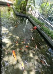 -宝生月子中心·私家园林式(龙华观澜店)