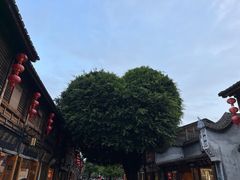 -三坊七巷历史文化街区