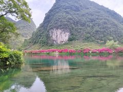 -靖西鹅泉风景区