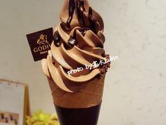 比利时黑巧冰淇淋-GODIVA(王府井apm店)