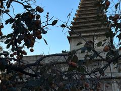 -北京石刻艺术博物馆(五塔寺)