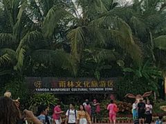 -呀诺达热带雨林