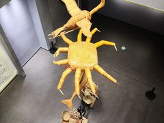 -徐汇艺术馆