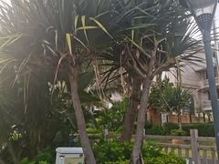 -碧桂园十里银滩