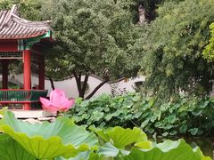 -宣武艺园