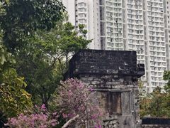 -九龙寨城公园