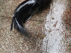 -天目湖刘老四农庄