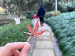 -杭州花家山庄