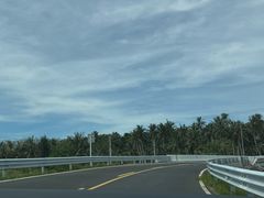 -东郊椰林