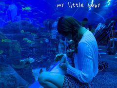 -成都浩海立方海洋公园