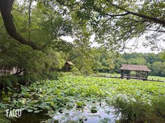 -兰亭风景区