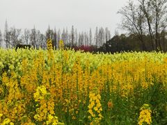 -蜀绣公园