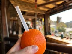 -马灯部落·西湖边的创意山景餐厅(虎跑动物园店)