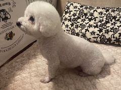 -美联众合24小时·皮肤科·外科·全科诊疗中心(华苑分院)